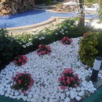 фото из отзыва ID 2691965