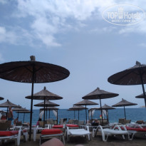 фото из отзыва ID 2691965