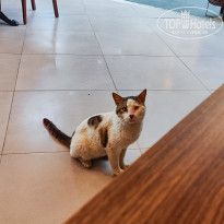 фото из отзыва ID 2692001