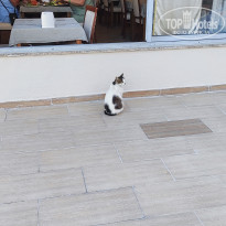 фото из отзыва ID 2692001