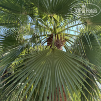 фото из отзыва ID 2692058