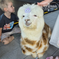 фото из отзыва ID 2692072