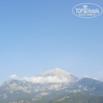 фото из отзыва ID 2692070