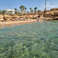 фото из отзыва ID 2692191