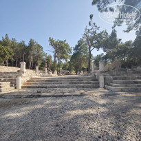 фото из отзыва ID 2692235