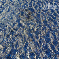 фото из отзыва ID 2692258