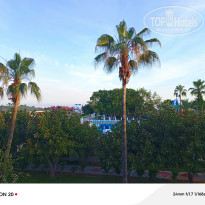 фото из отзыва ID 2692258