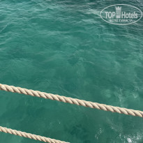 фото из отзыва ID 2690504