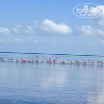 фото из отзыва ID 2692304