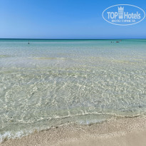 фото из отзыва ID 2692304