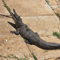 фото из отзыва ID 2692304