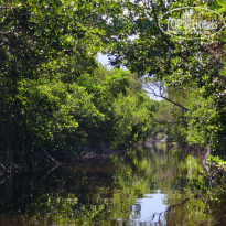 фото из отзыва ID 2692304