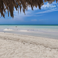 фото из отзыва ID 2692304