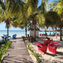 фото из отзыва ID 2692304