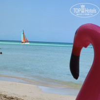 фото из отзыва ID 2692304