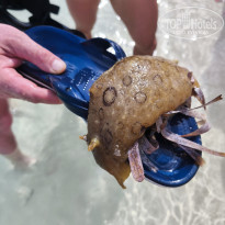 фото из отзыва ID 2692304