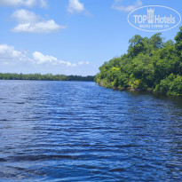 фото из отзыва ID 2692304