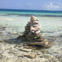 фото из отзыва ID 2692304