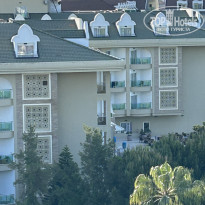 фото из отзыва ID 2692353