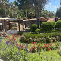 фото из отзыва ID 2692353