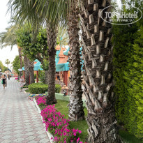 фото из отзыва ID 2692353