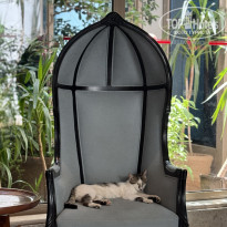 фото из отзыва ID 2692366