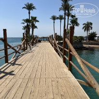 фото из отзыва ID 2692457