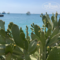 фото из отзыва ID 2692457