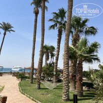 фото из отзыва ID 2692457