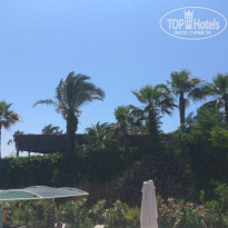 фото из отзыва ID 2692498