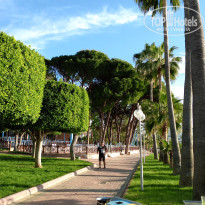 фото из отзыва ID 2692501