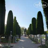 фото из отзыва ID 2692501