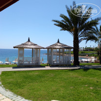 фото из отзыва ID 2692501