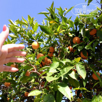 фото из отзыва ID 2692501