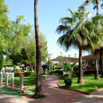 фото из отзыва ID 2692501