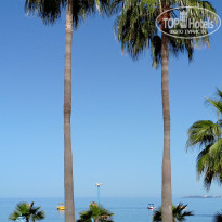 фото из отзыва ID 2692501