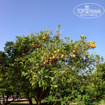 фото из отзыва ID 2692501