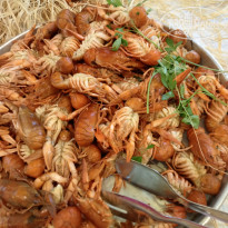 фото из отзыва ID 2692501