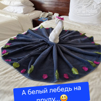 фото из отзыва ID 2692516