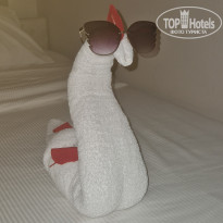 фото из отзыва ID 2692516