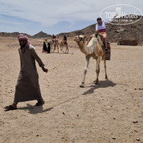 фото из отзыва ID 2692516