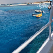 фото из отзыва ID 2692516