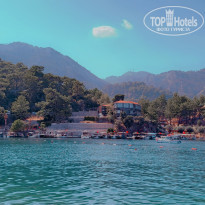 фото из отзыва ID 2692603