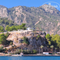 фото из отзыва ID 2692603