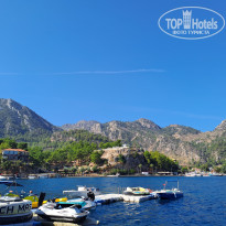 фото из отзыва ID 2692603