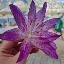 фото из отзыва ID 2692603