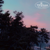 фото из отзыва ID 2692603