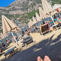 фото из отзыва ID 2692603