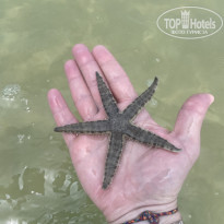 фото из отзыва ID 2692605