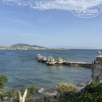 фото из отзыва ID 2692630